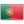 ptFlag